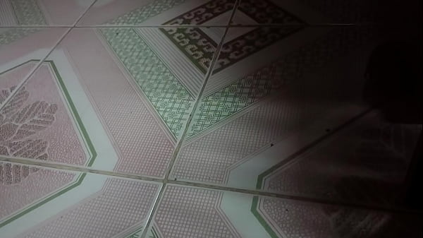 Video x&aacute;c minh