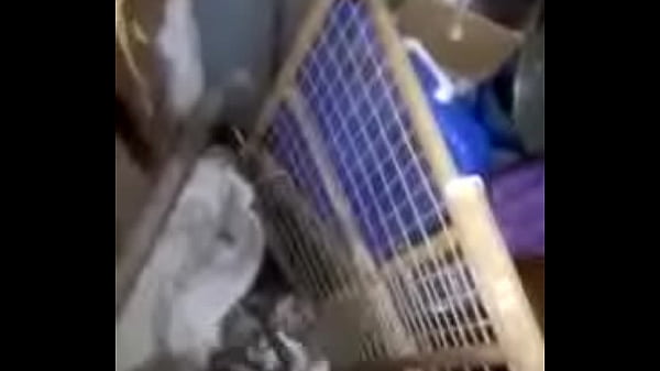 Vidéo De Vérification