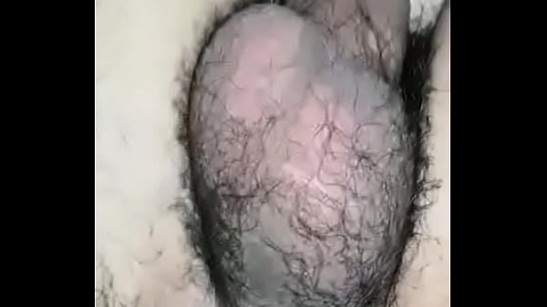 Ours Me Baise Bien Et Serré