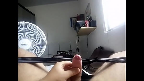 Uma pequena amostra do meu pau