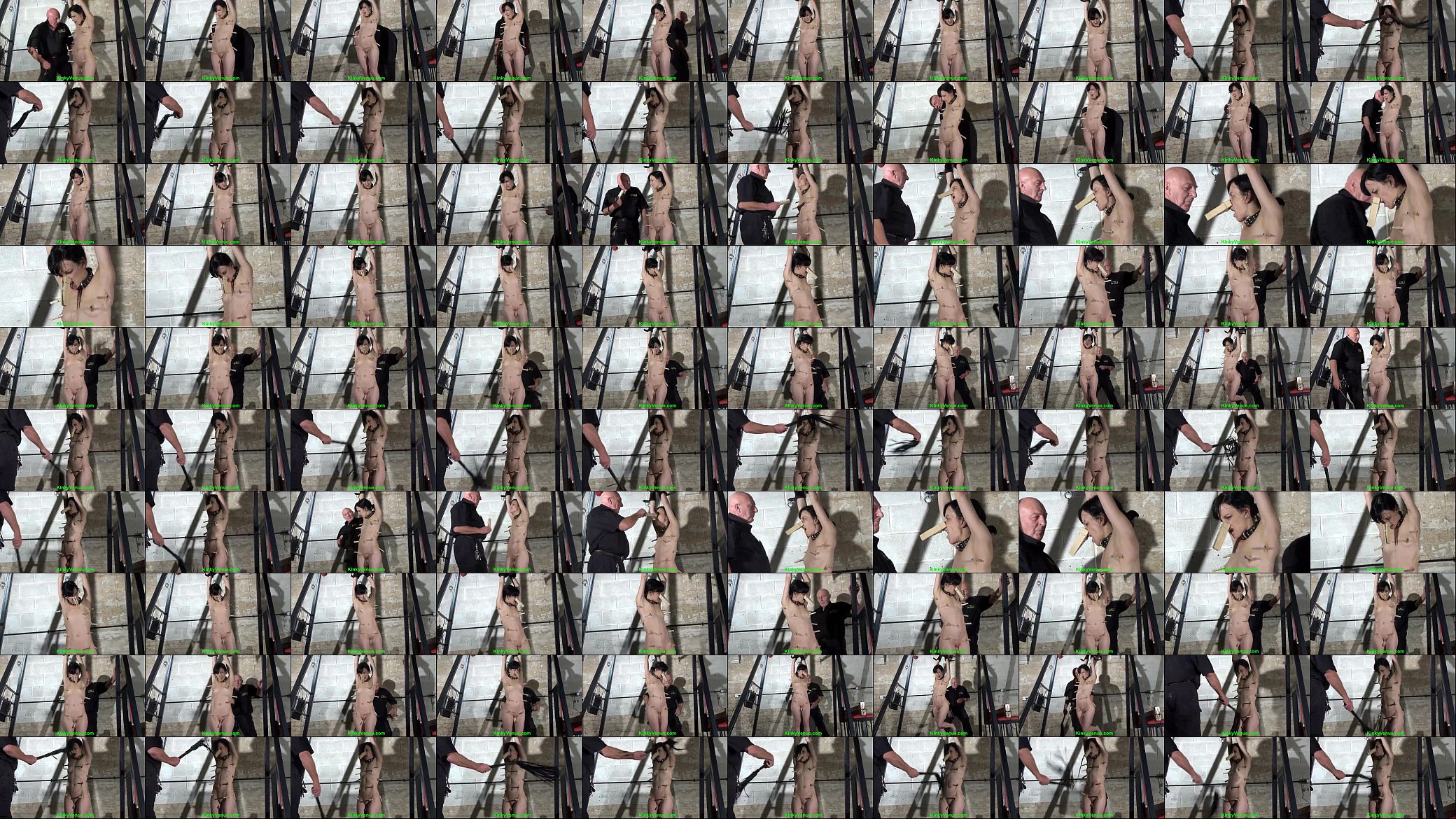 Slavegirl Elise Graves Punished 预览图