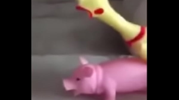 Peppa Pig FELL ON THE NET! Whatsapp Funny Videos 2015