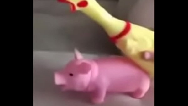 Peppa Pig FELL ON THE NET! Whatsapp Funny Videos 2015