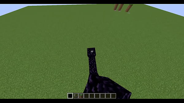 como hacer un portal hacia el end