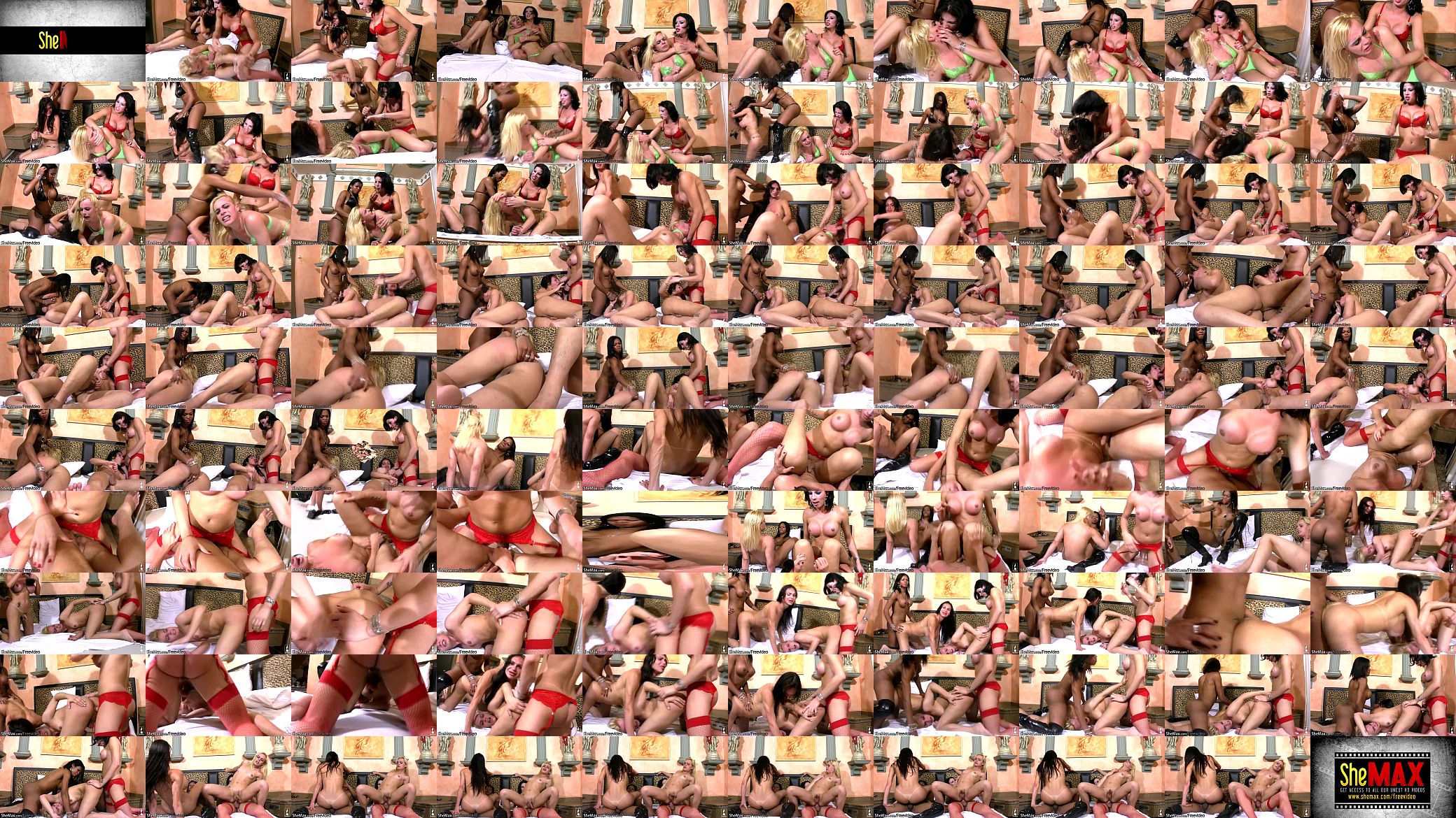 Bigtitted t-girls ride meaty shecocks with their fat asses 预览图