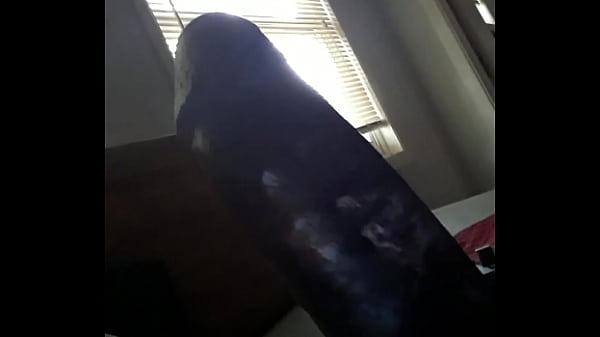 Download Video - Needing some good pussy