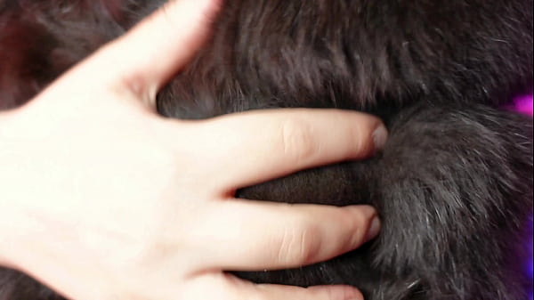 FUR SOUNDS amazing ASMR video free erotic clip