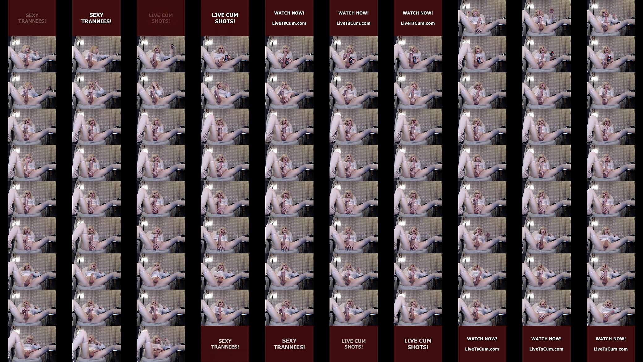 Live Ts Cum 116 预览图
