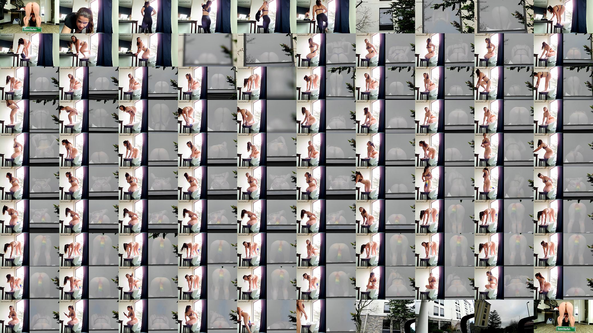 Hotel Window Voyeur 预览图