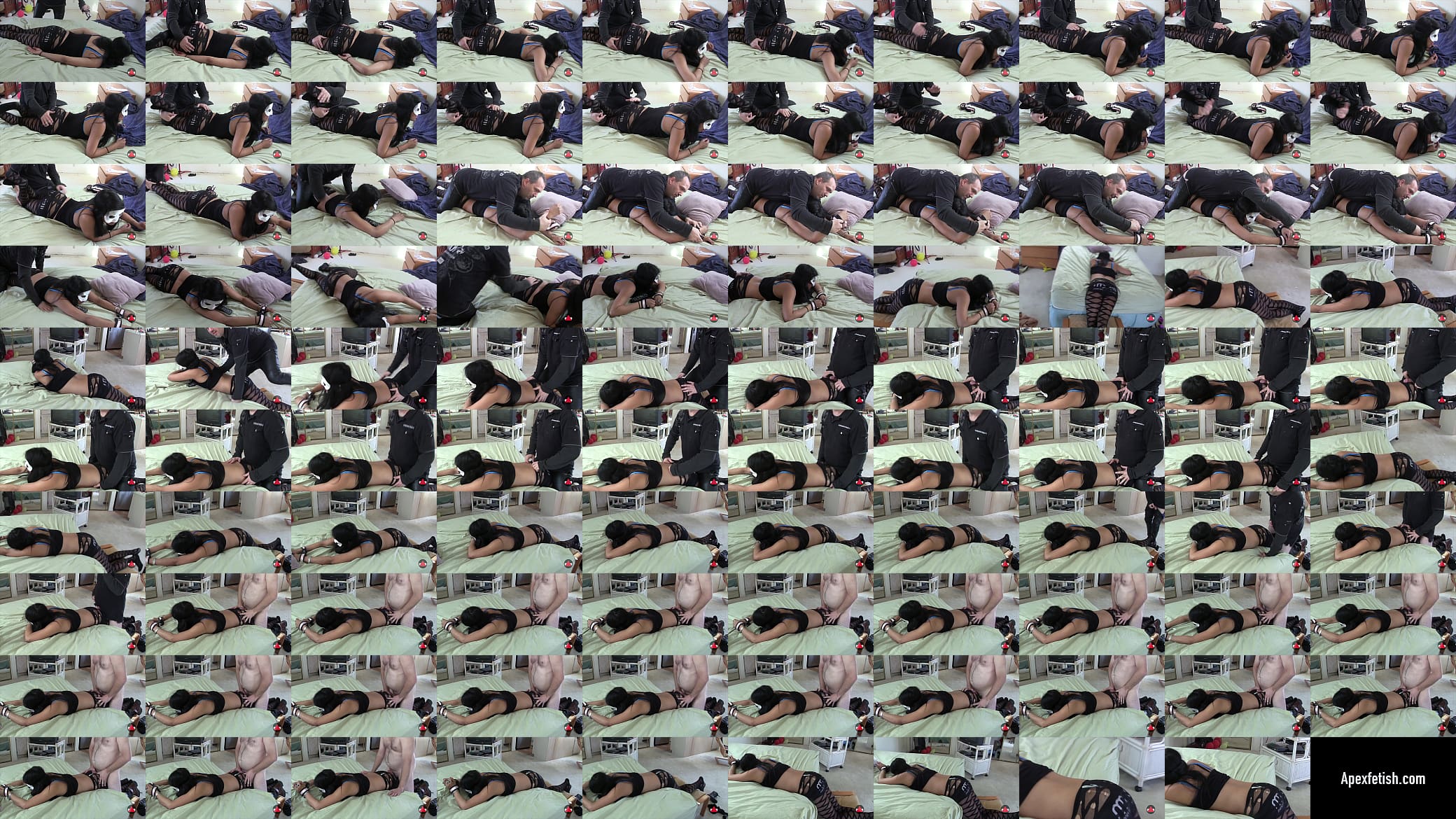 Assjob Discipline 预览图