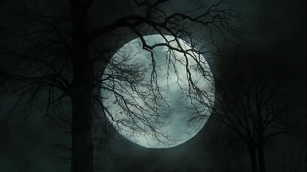 April Velvet and Mark Gotham went one on one