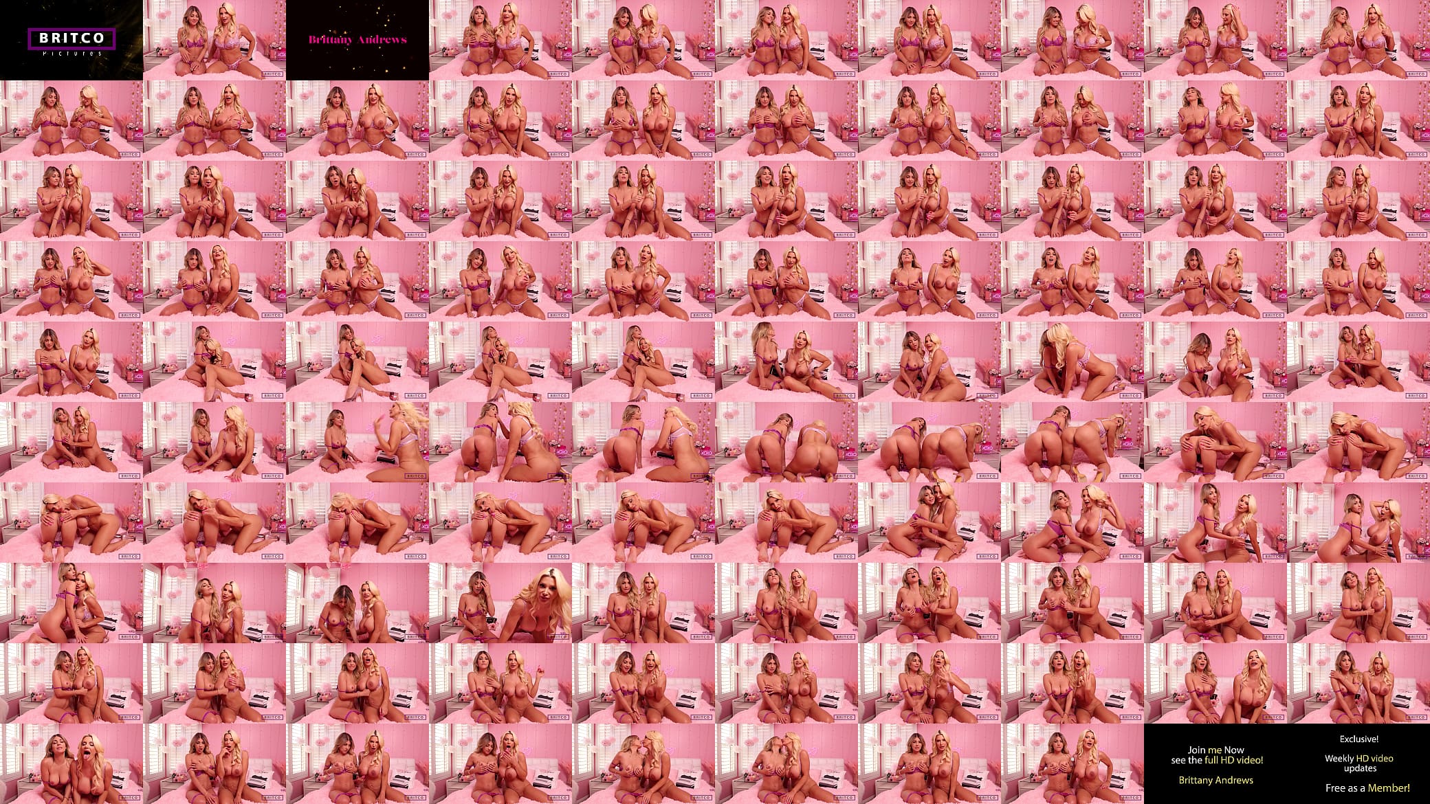 Cougar Brittany Andrews And Kitten Kayla Kayden Masturbate For You! 预览图
