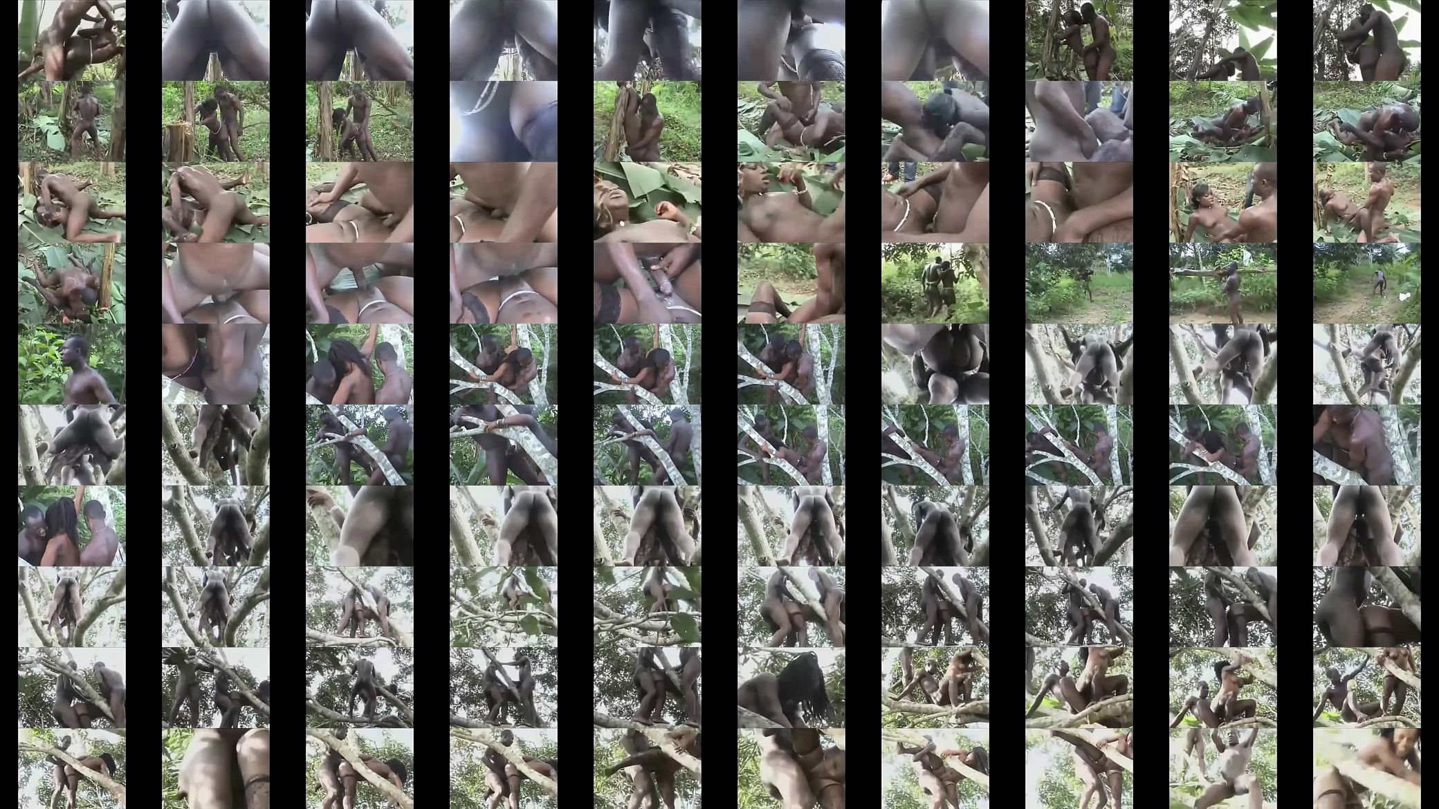 Black Girl Gets Fucked In Restricted Tribal Forest By 2 Very Hard 预览图