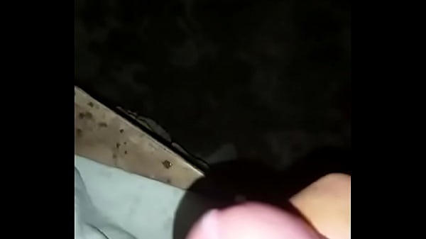 M. Dominicano en Paja