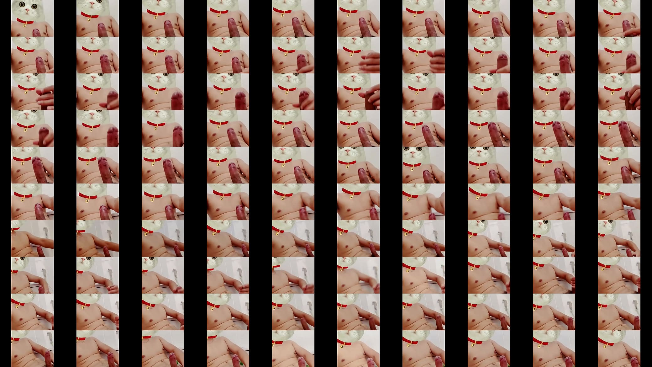 Ch&uacute; m&egrave;o d&acirc;m 预览图