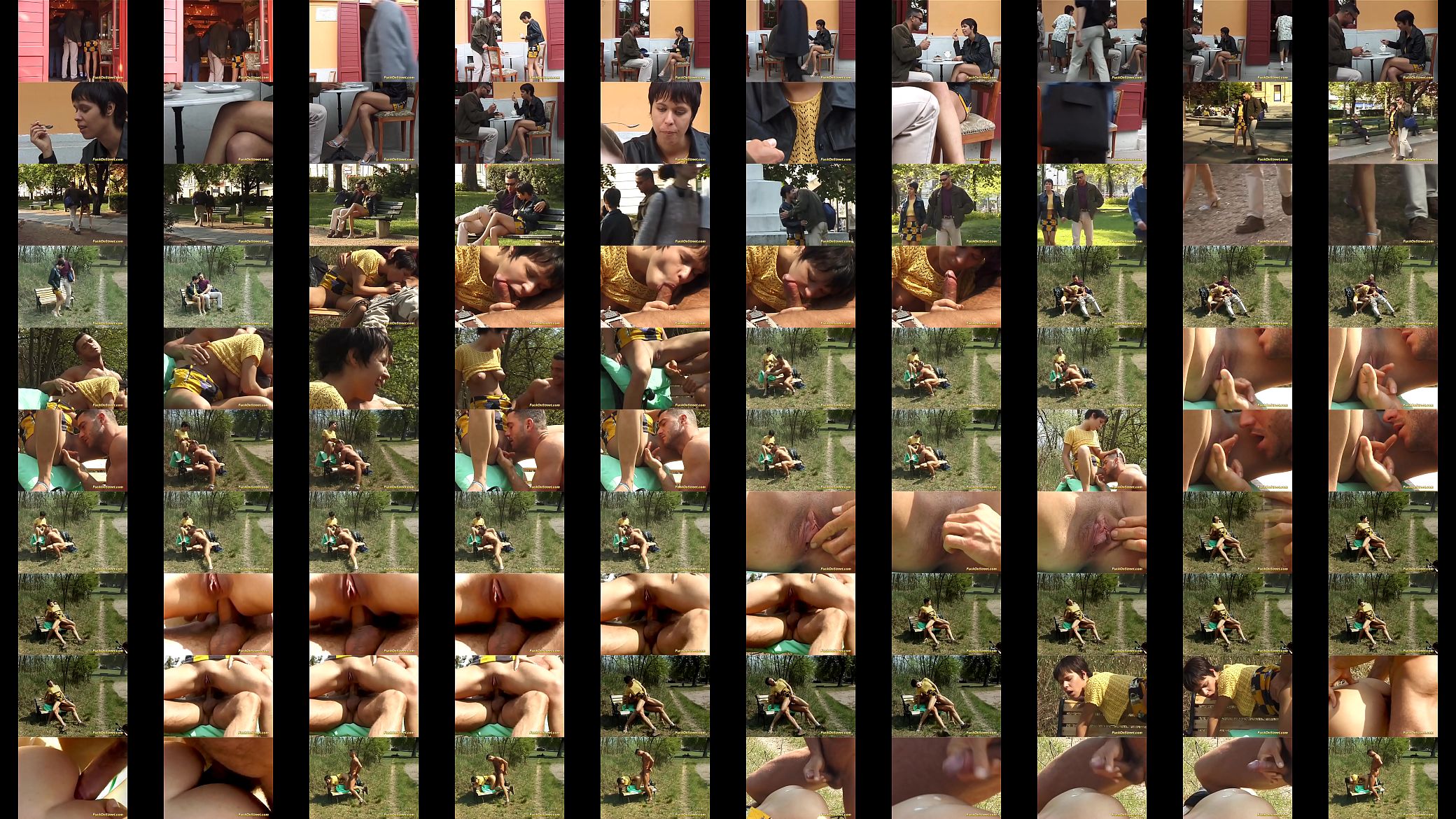 horny Milf gets deep anal fucked in a public park 预览图