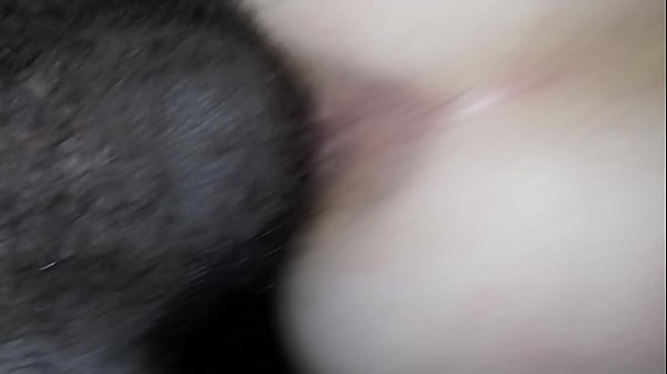 Chatte Rose