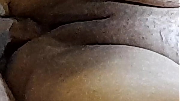 Naughty Brazilian couple Pt 9 - Naughty Little Ant