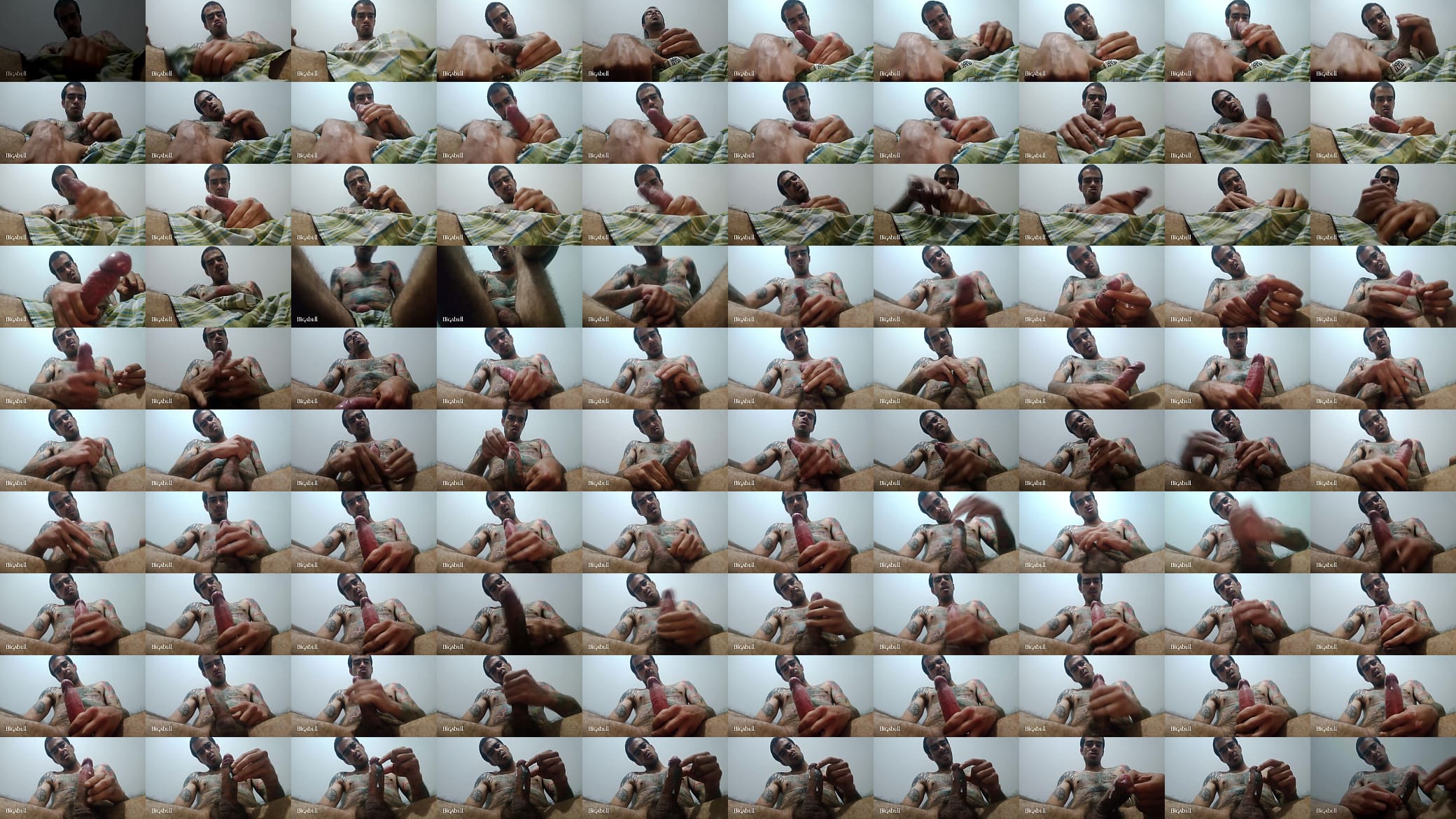 Un chimbo bien rico 预览图