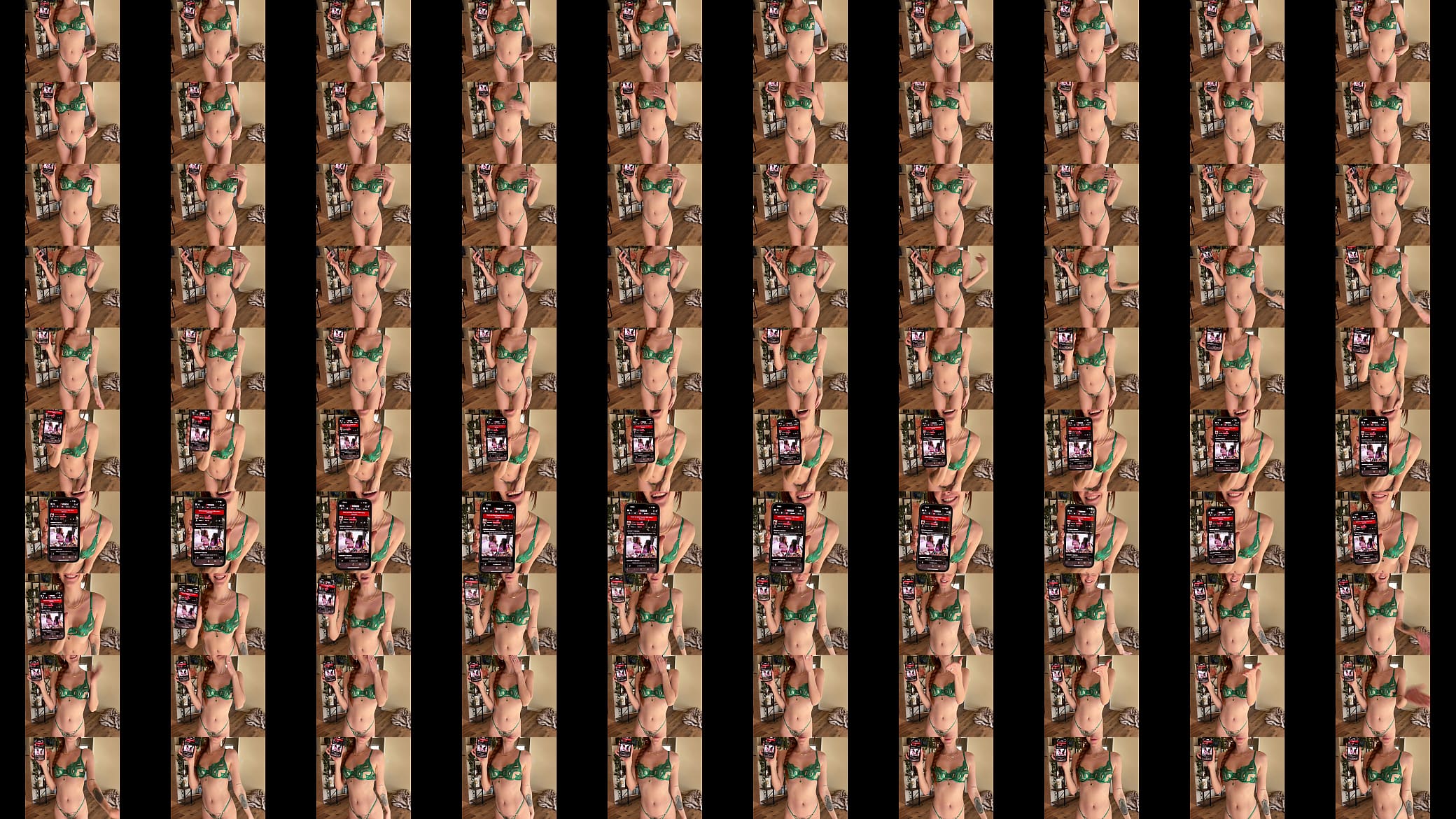 Verification video 预览图