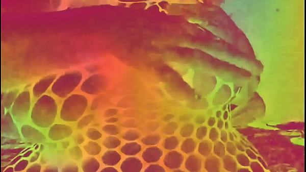 A little excerpt from a special video of my big melons