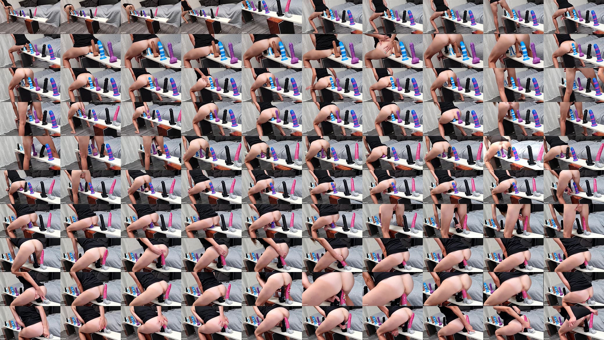 Which One Is The BEST of The BEST? Dildo Collection Challenge 预览图