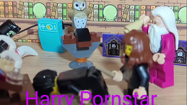 Hairy Pornstar and the Dildo of Doom