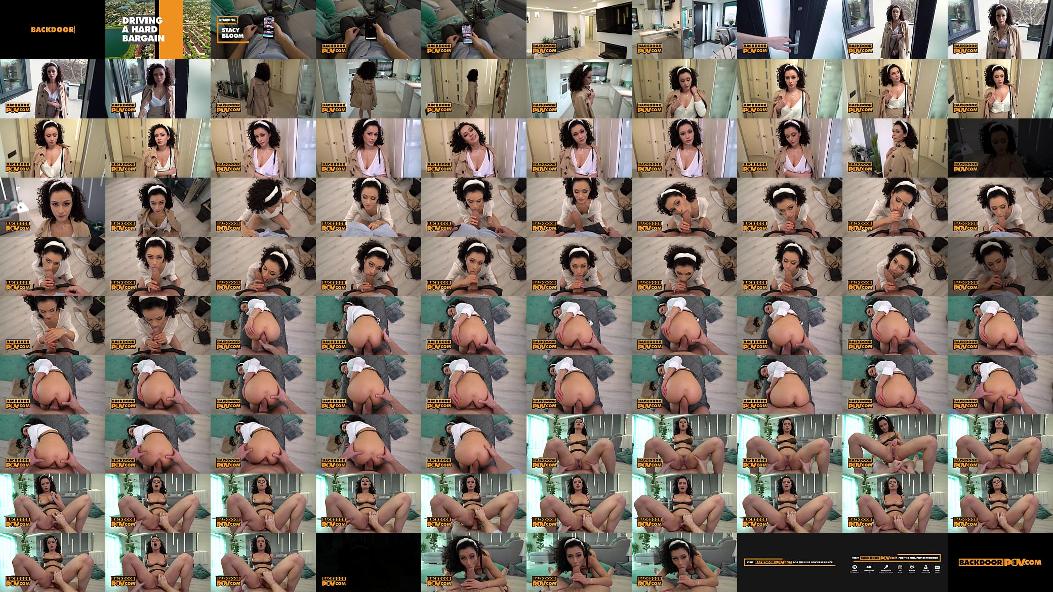 Anal whore Stacy Bloom strikes a deal with - itsPOV 预览图