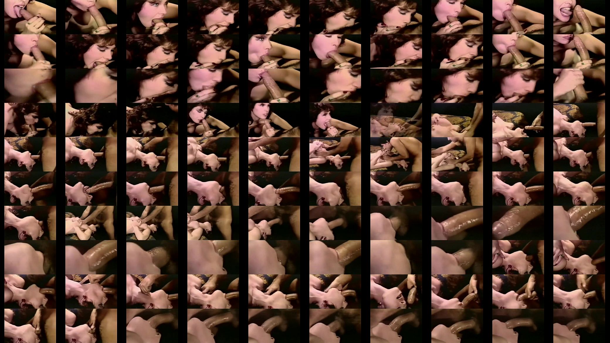 Vintage Porn 预览图