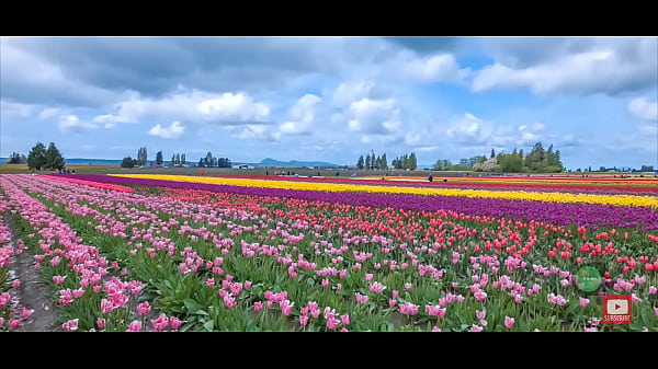  Beautiful Washington State Part 3