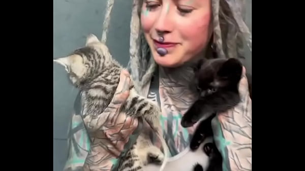 More kittens chilling with me ?How many kittens are too many?#Kittens #ChillVibes #CatLove #PsylandBodysuit #Inked...