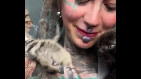 More kittens chilling with me ?How many kittens are too many?#Kittens #ChillVibes #CatLove #PsylandBodysuit #Inked... Sexy