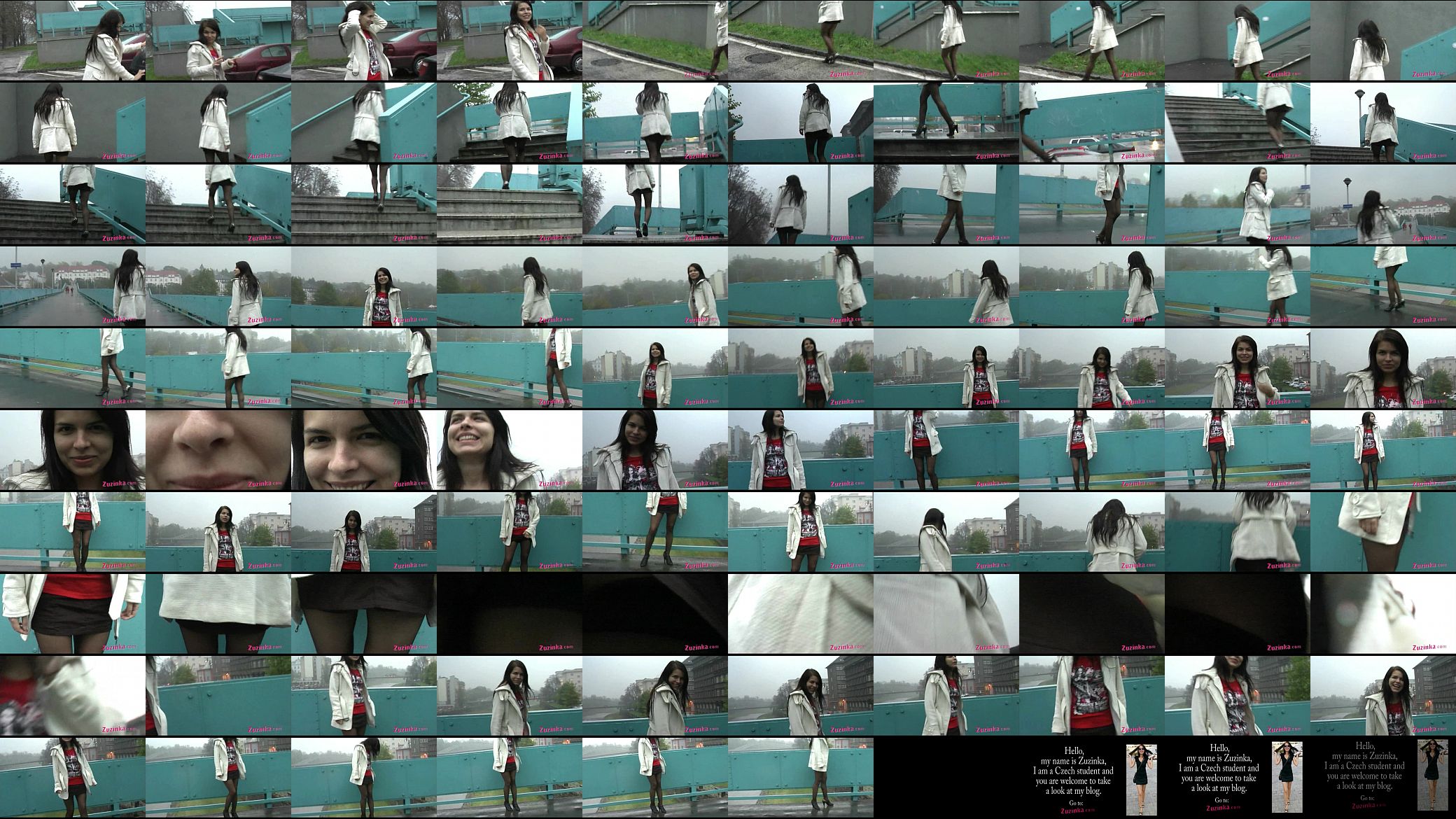 Exhibitionism on the bridge 预览图