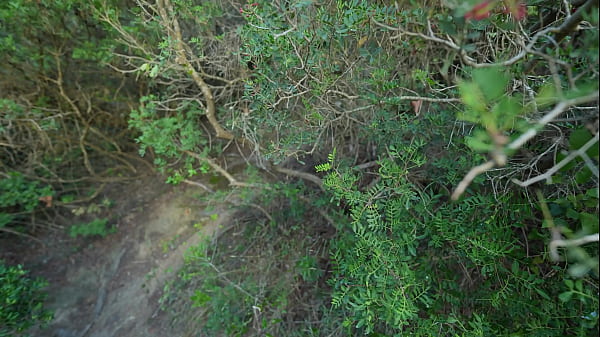 POV: I can’t wait until home! I want you to fuck me right here! Risky public sex in woods