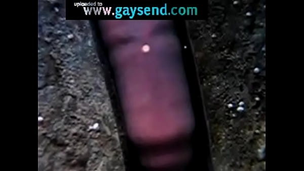 Hey, it looks like penis!