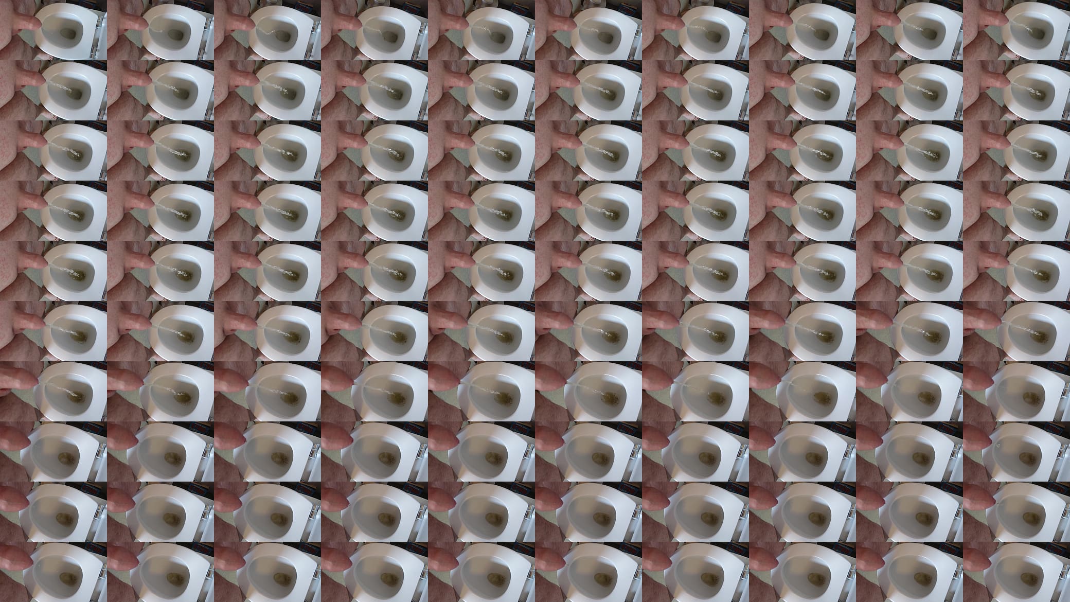Pissing in toilet 预览图