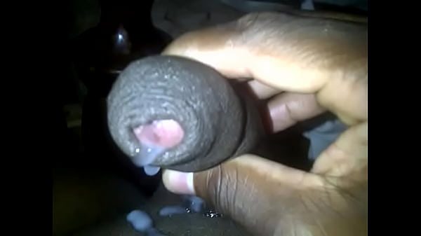 Paja Dominicana
