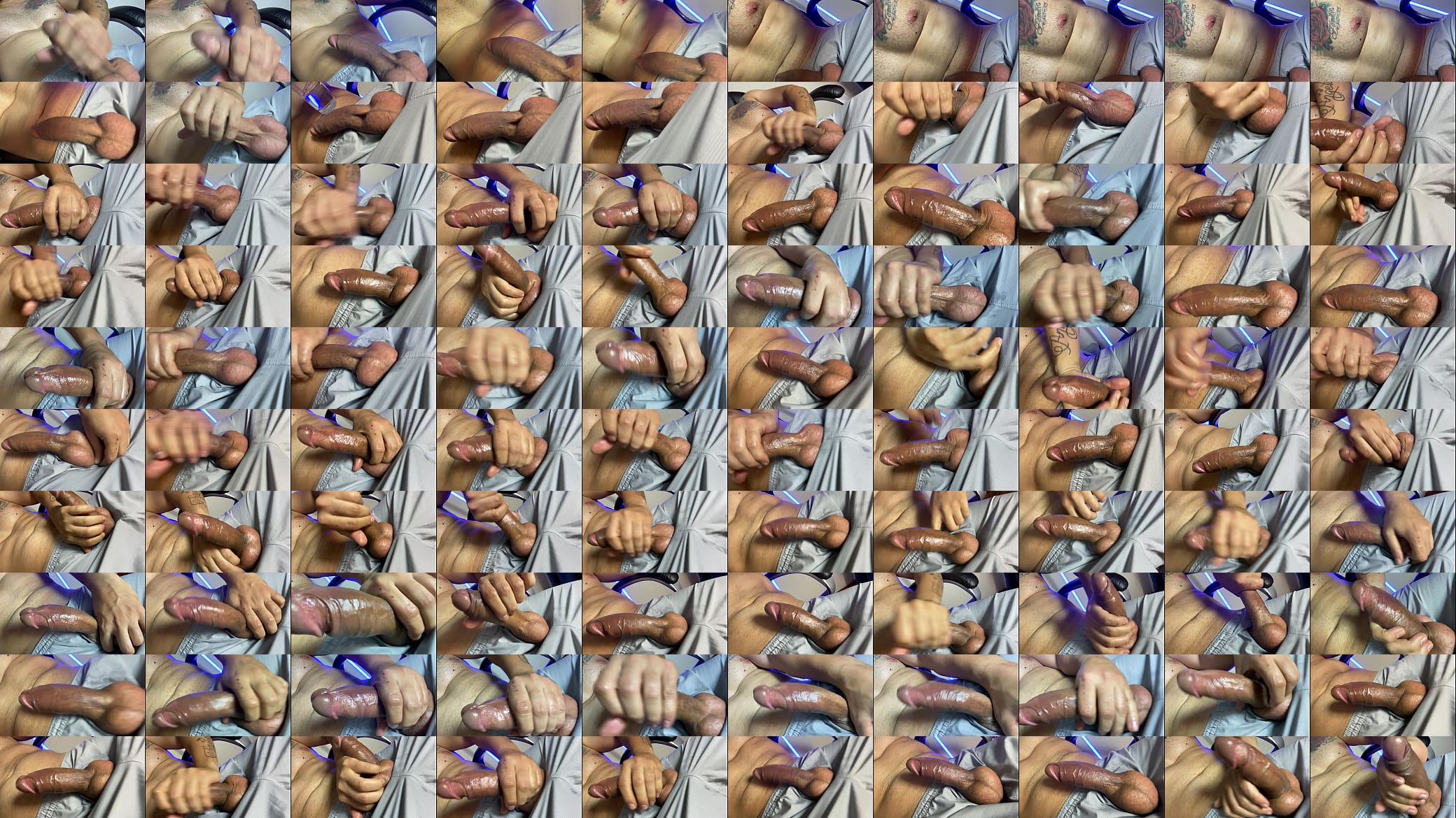 Pene aceitozo 预览图