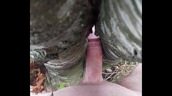 jerk off with a tree