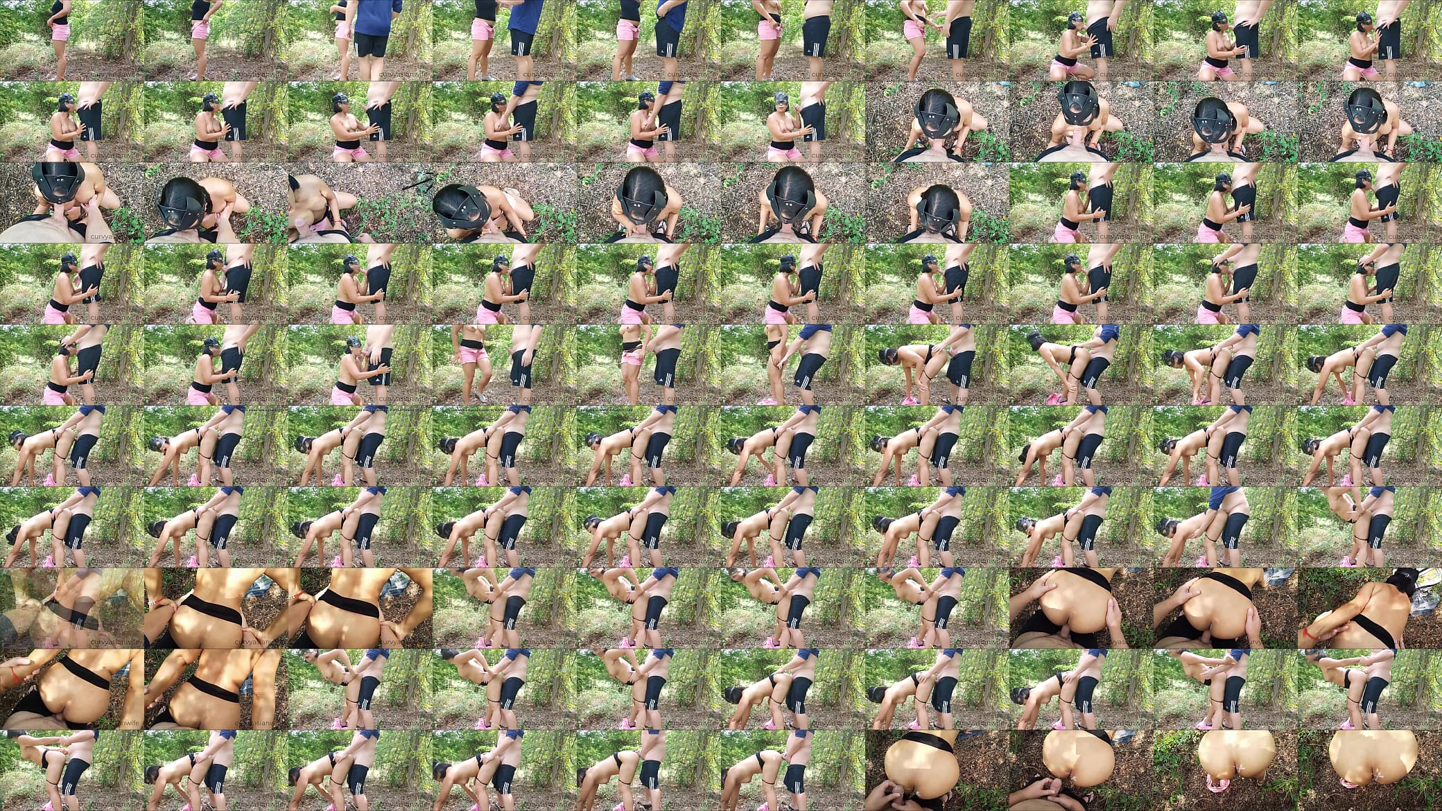 Fucking Asian milf in the public park 预览图