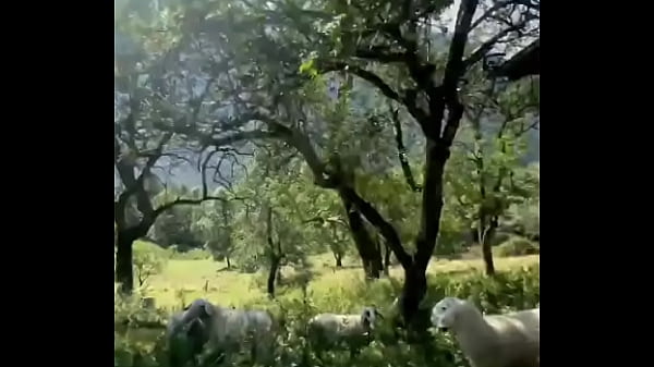Wild animals spotted while running in nature! ??What’s the coolest wildlife you’ve encountered on a run?#Natur...
