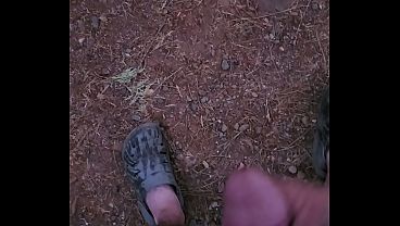 Quick early morning cum