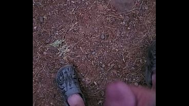 Quick early morning cum