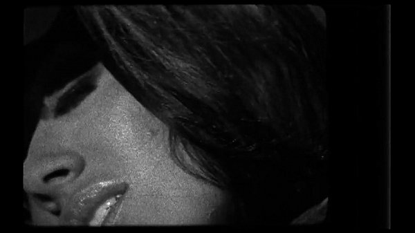 Download Video - Shyla Stylez&comma; Sophie Dee&comma; and Sienna West