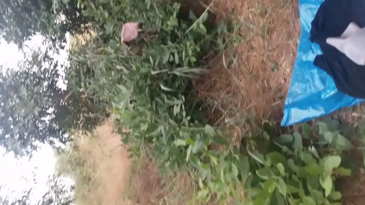 "Una aventura inesperada con una MILF madura y voluptuosa en un entorno natural al aire libre. Descubre cómo sucedió todo."
                    angolan muchos negros
