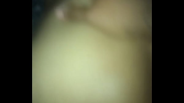 Sunnyboy 23 - s. thot yellow bone