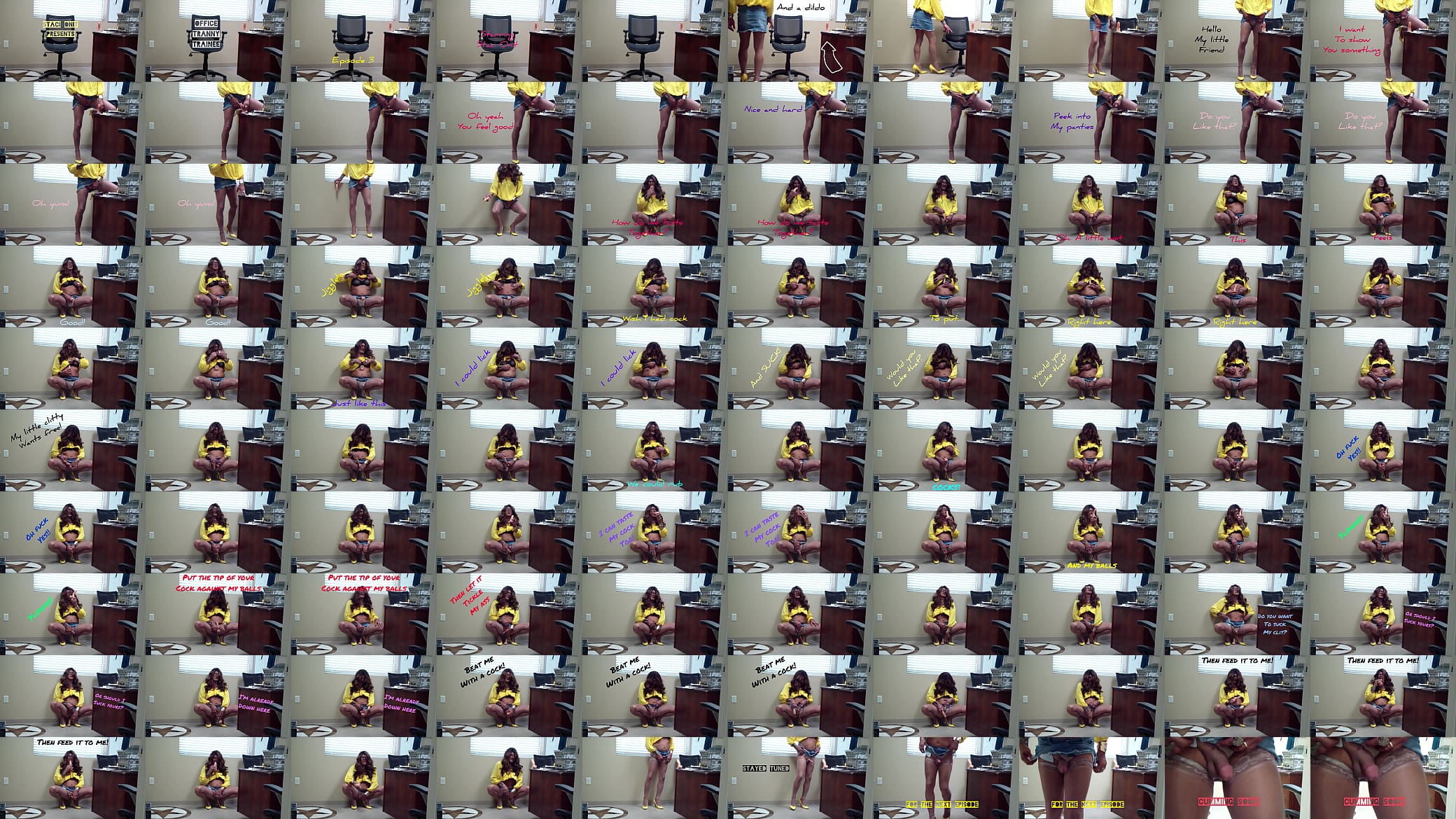 Staci Onit office Dildo episode 3 预览图