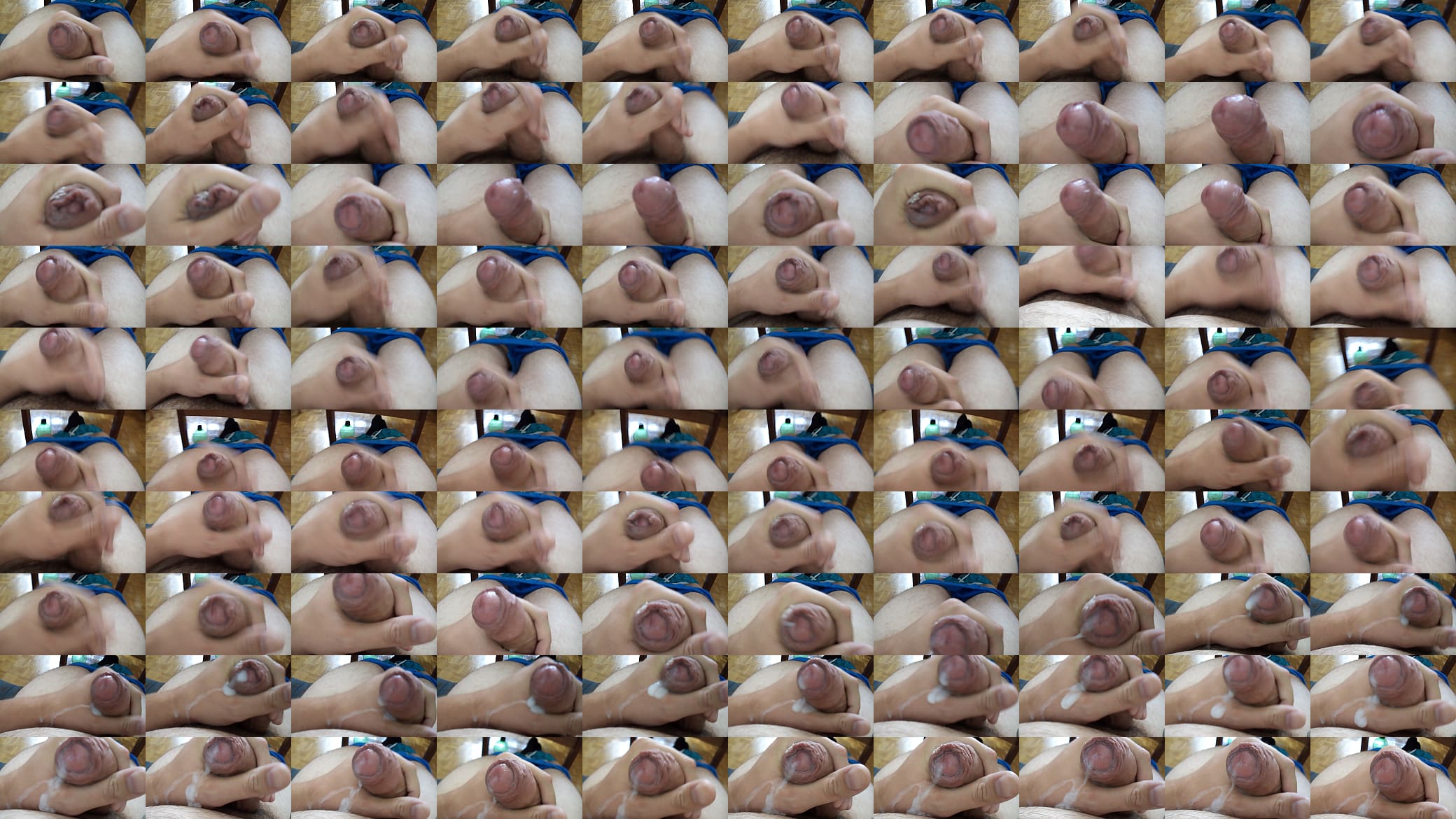sperm 预览图