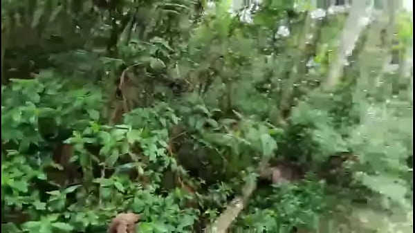 Entré Coquine Tombe Sur La Bite