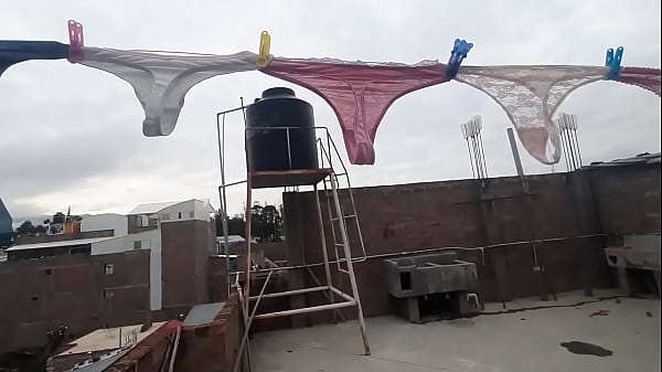 Tangas de mi vecina